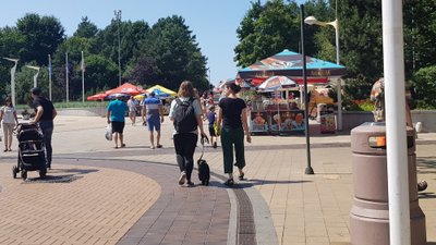 Atostogos Palangoje su augintiniu: ar tai įmanoma?