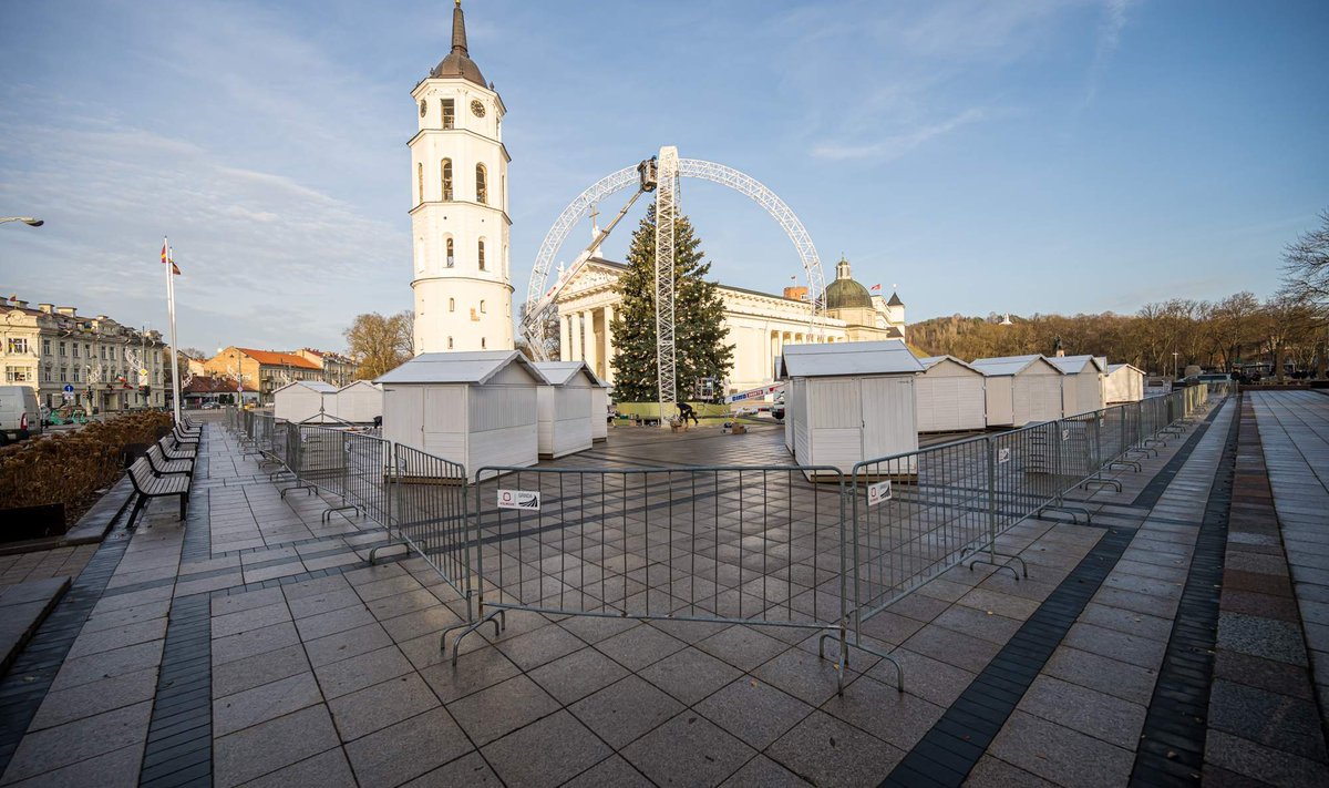 Vilniaus Kalėdų eglė įgijo formą – tapo žaisliuku