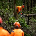 Audros metu Kaune sužalota moteris – artimieji prašo pagalbos