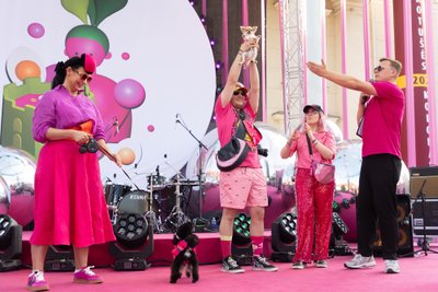 Вильнюсский фестиваль холодного борща (Vilnius Pink Soup Fest)  