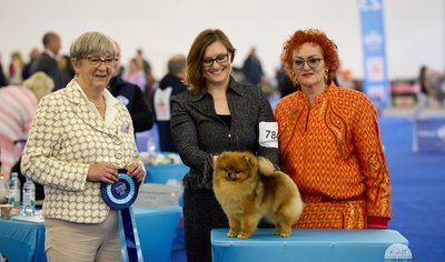  Veisėja Janita J. Plungė, vedlė iš JAV, parodos teisėja bei „Tauro Kennel“ Pomeranijos špicas