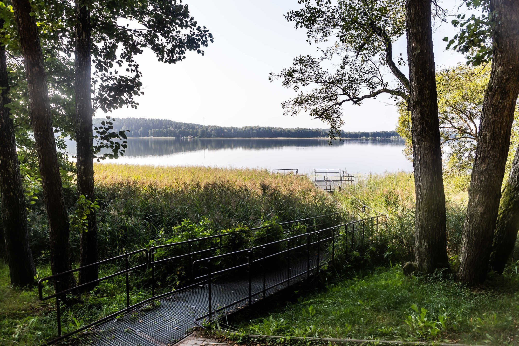 European Commission sends clear signal to Lithuania: Environmental damage must be restored, not just assessed in money