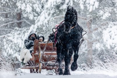 Pasivažinėjimas rogėmis-karieta