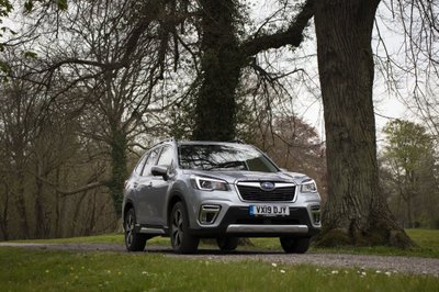 "Subaru Forester" / Eglės Girdenytės nuort.