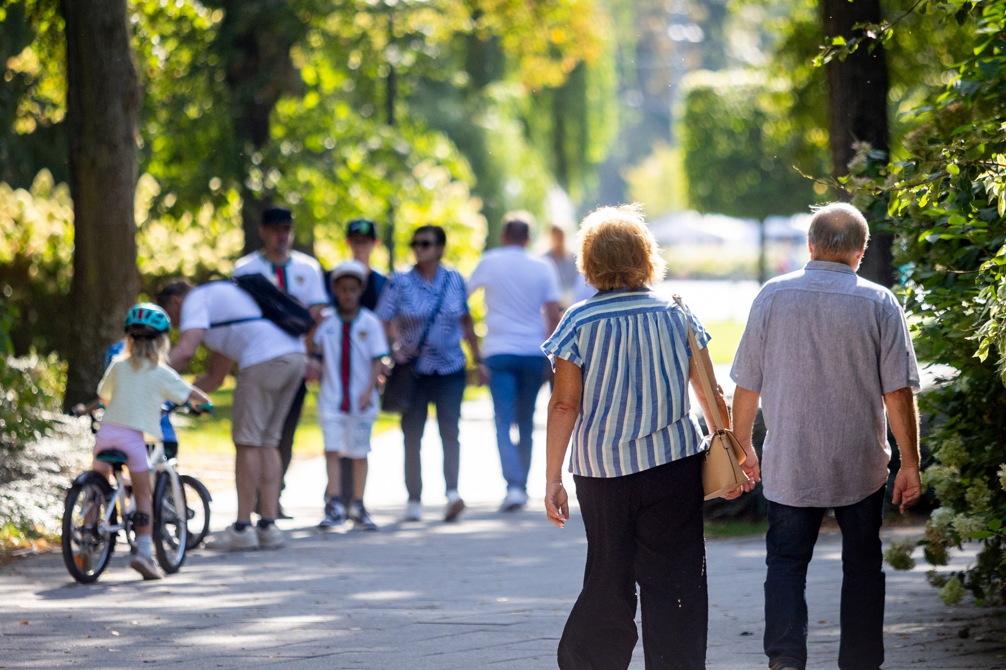 Delaying pension collection offers significant income boost in Lithuania, Sodra reveals