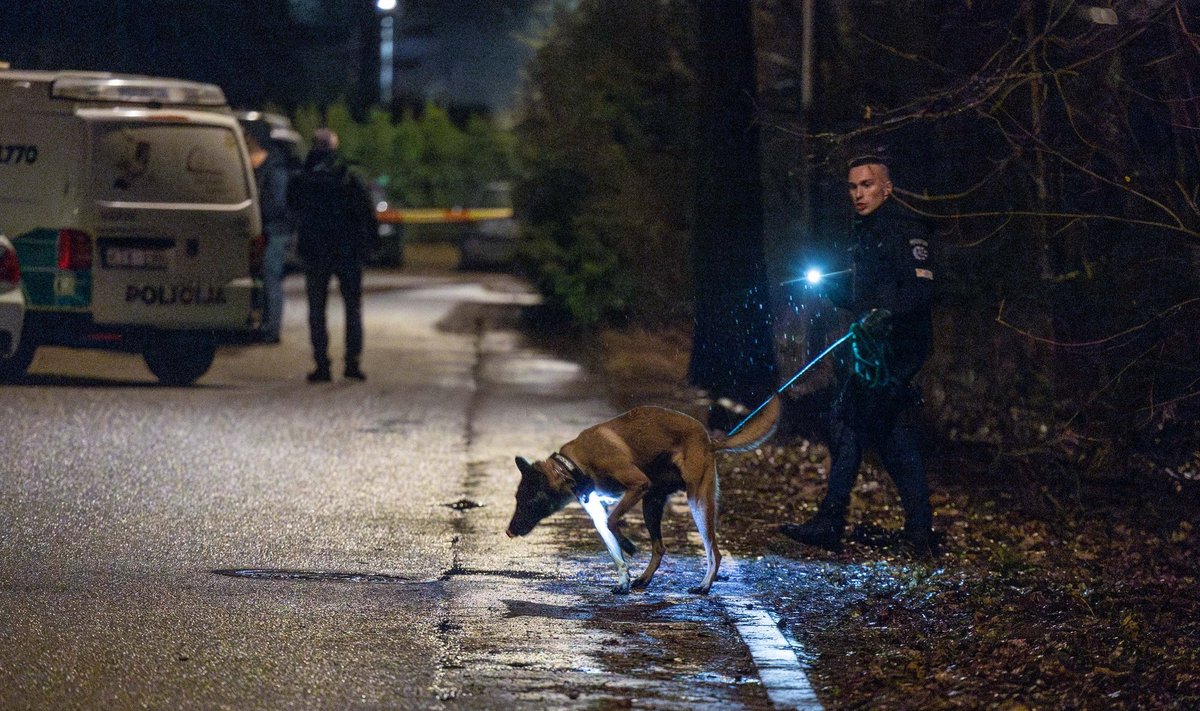 Vilniuje buvo užpultas Navalno bendražygis Volkovas