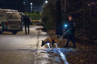 Vilniuje buvo užpultas Navalno bendražygis Volkovas