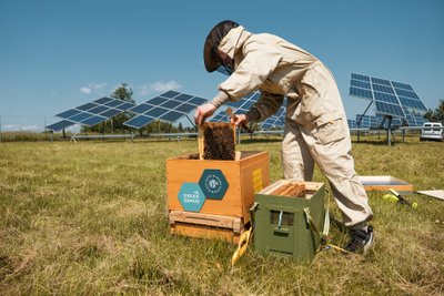 Saulės avilių projektas 