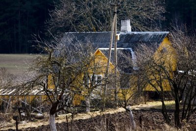 Rugsėjis neblogas laikas vaismedžiams sodinti, sako A. Amšiejus