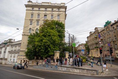 Susirinkimas prieš devynių medžių iškirtimą