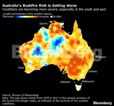 Australijos gaisrai