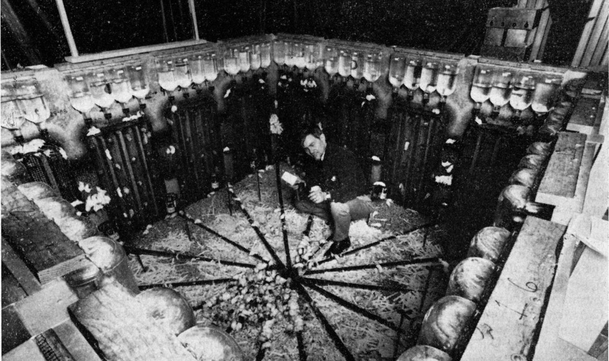John Calhoun ir jo Visata 25 eksperimentas su pelėmis 1970-aisiais.