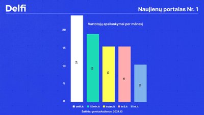 Vartotojų apsilankymai per mėnesį