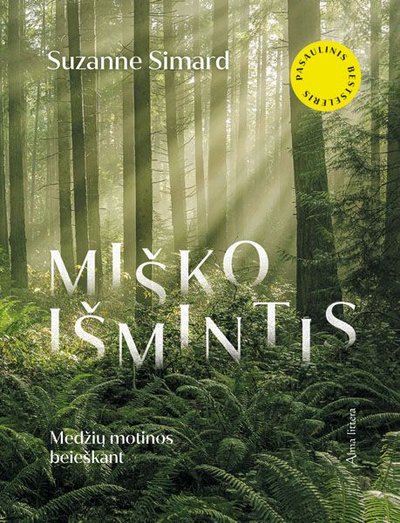 Miško išmintis