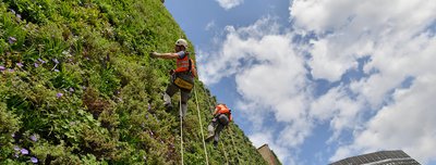  Didžiausias šalyje vertikalaus želdinimo projektas, kuris galbūt "sugers" dalį Londono lietaus / Rubens and The Palace viešbučio nuotr. 