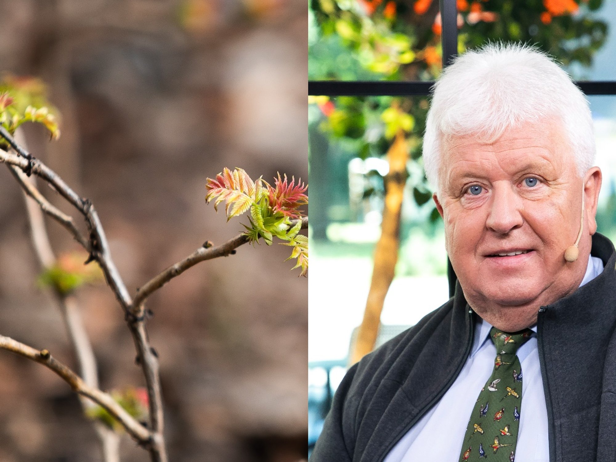 Selemonas Paltanavičius – apie tai, kokios bus Velykos ir kada prasidės ...