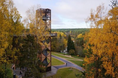 Treetop Walk in Anykščiai