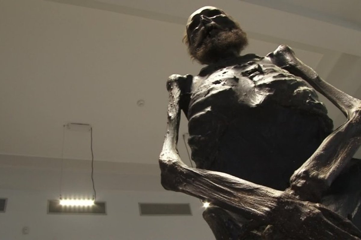 Mokslininkai ketina atskleisti VU Medicinos fakultete saugomos mumijos ...