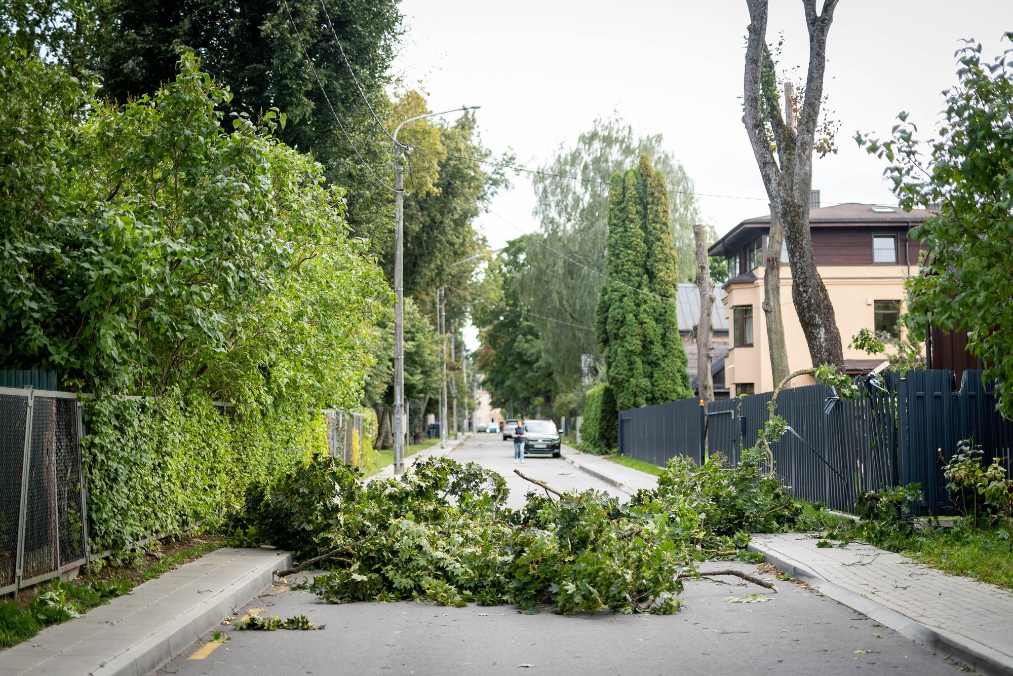 Storm Aftermath in Lithuania: Firefighters Respond to Record Incidents, One Fatality Reported