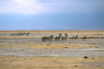 Ngorongoro nacionalinis parkas