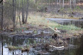 Kas po nelaimės buvo padaryta Pabradės poligone