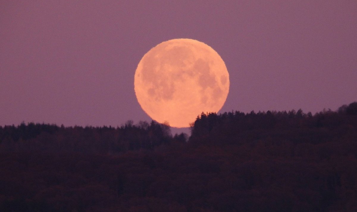 Naujausi tyrimai patvirtino: Mėnulis tolsta nuo Žemės - Delfi mokslas