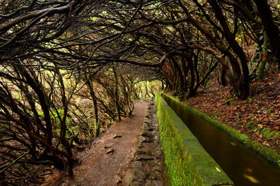  Madeira garsėja savo levadų tinklu