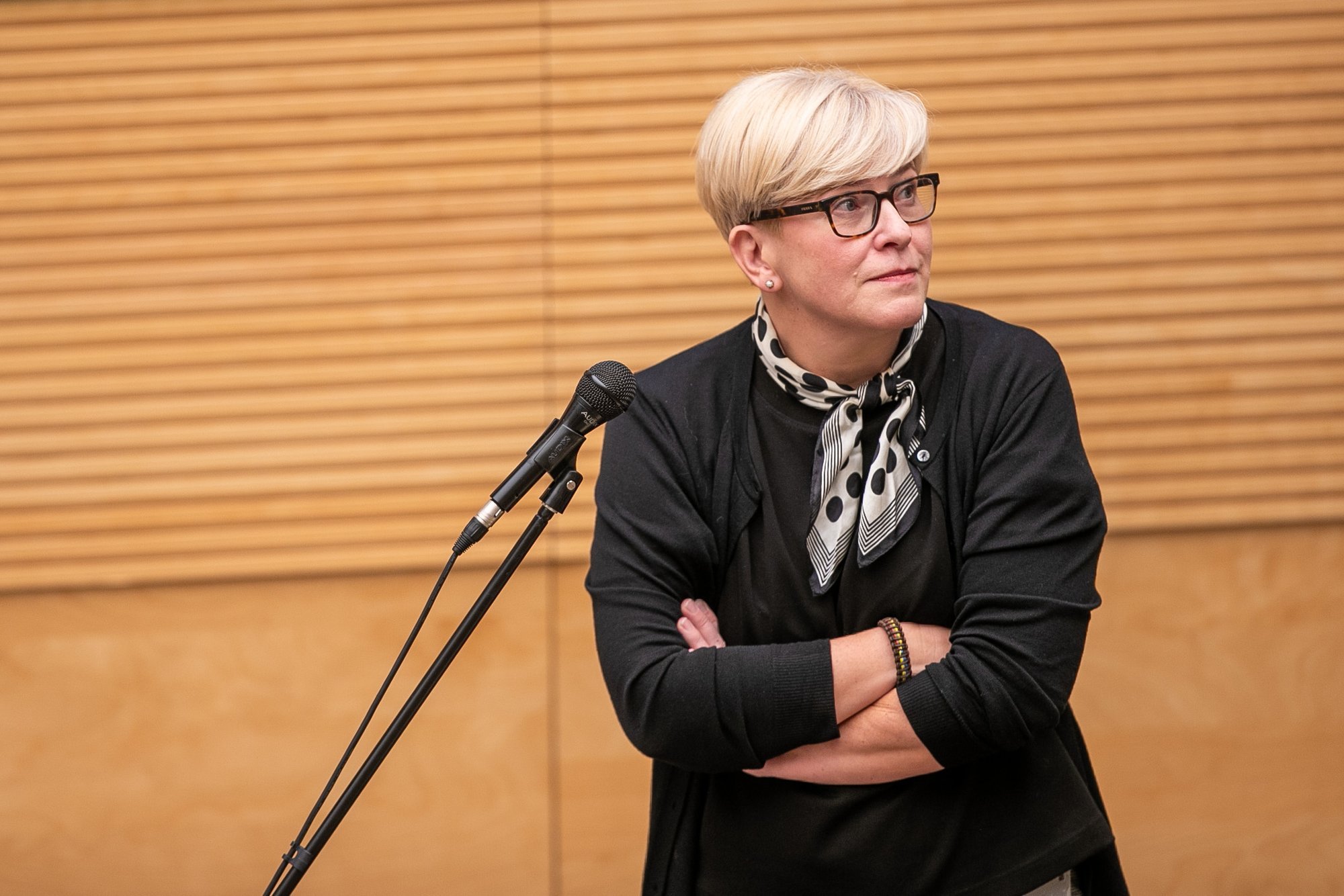 Šimonytė on Mindaugas Sinkevičius's Prime Minister Candidacy: LSDP Offers Something 'Boringly Solid'