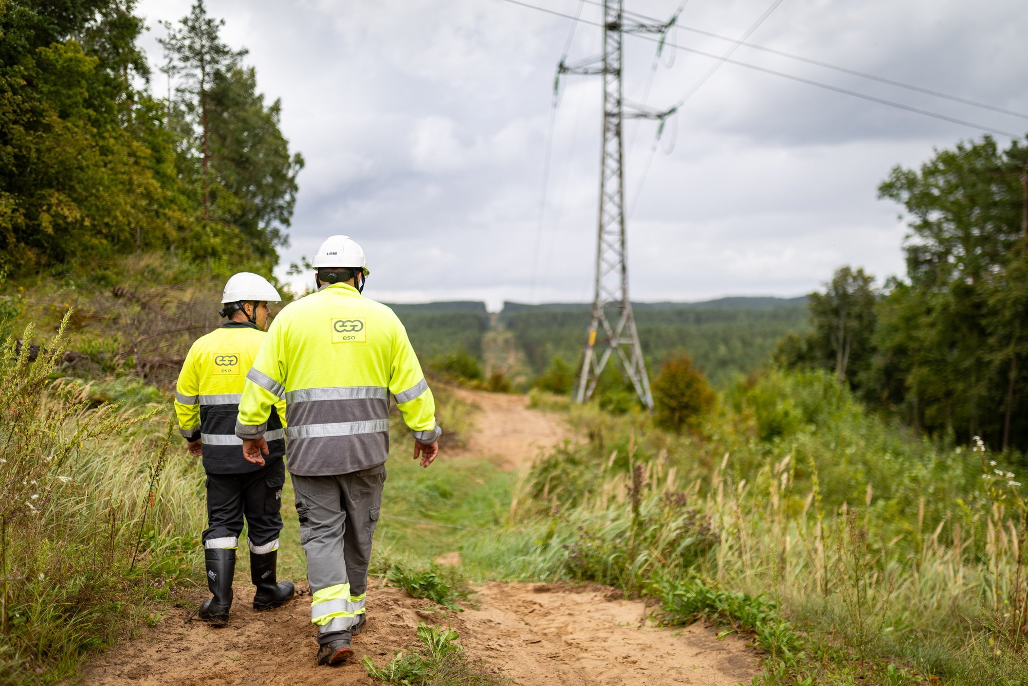 Storm exposes weaknesses in Lithuania's power grid, prompting search for resilient solutions