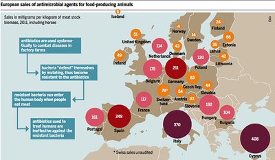 Statistika, kiek Europoje parduodama antibiotikų mėsiniams galvijams