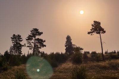 Kuršių nerija