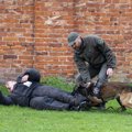 Lietuvos kariuomenėje paminėta Šuns diena: savo gebėjimus demonstravo tarnybiniai šunys