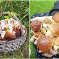 Valgomus grybus tyrinėję mokslininkai atrado veikliąją medžiagą, kuri saugo nuo klastingo viruso, sukeliančio sunkias komplikacijas