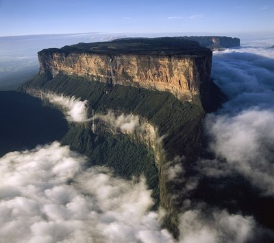 Tepui kalnai Venesueloje