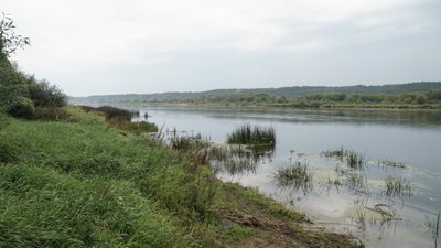 Kabliautojų pamėgta Nemuno pakrantė ties Žemosios Panemunės piliakalniu