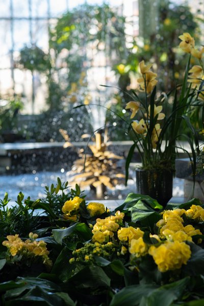 Kretingos Žiemos sodas