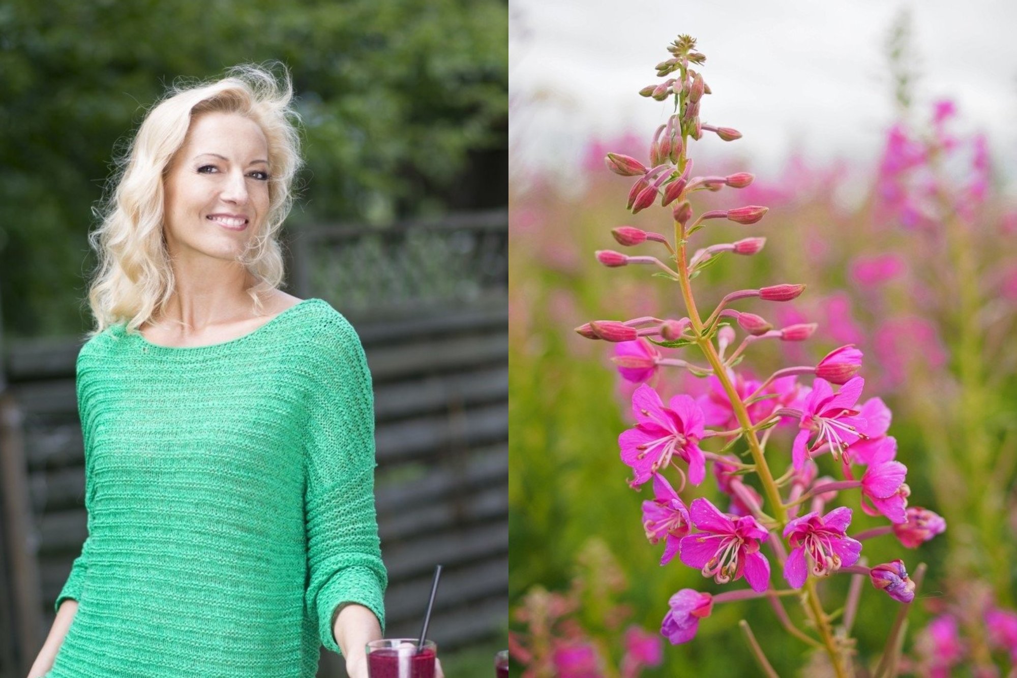 Lithuanian expert hails fireweed as 'superplant' for immunity, praises dandelion for liver health