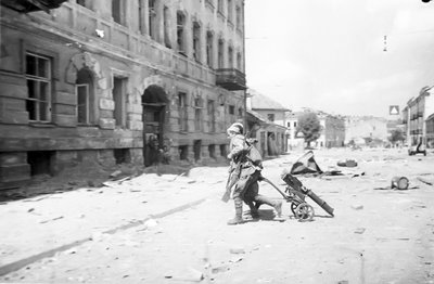 Lietuvių ir lenkų partizanų veikla 