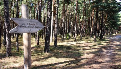 Bėgimo takas Palangoje