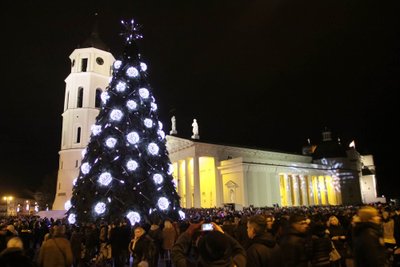 Vilnius, 2012 m. gruodžio 1 d. (ELTA). Vilniaus Katedros aikštėje įžiebta aukščiausia Baltijos šalyse eglė. Gedimino Savickio (ELTA) nuotr.