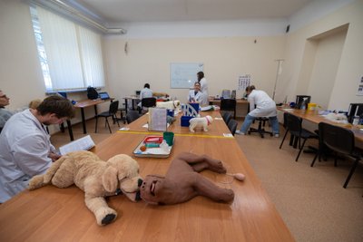 LSMU Veterinarinės medicinos simuliacijos centras