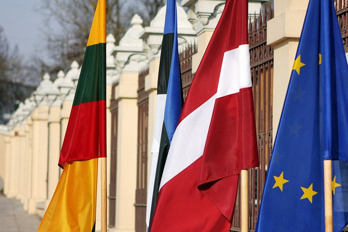 Baltic Delfi European When Vulnerability Becomes Broadcast Strategy: Žemaitė’s Play for Authenticity in the Attention Economy