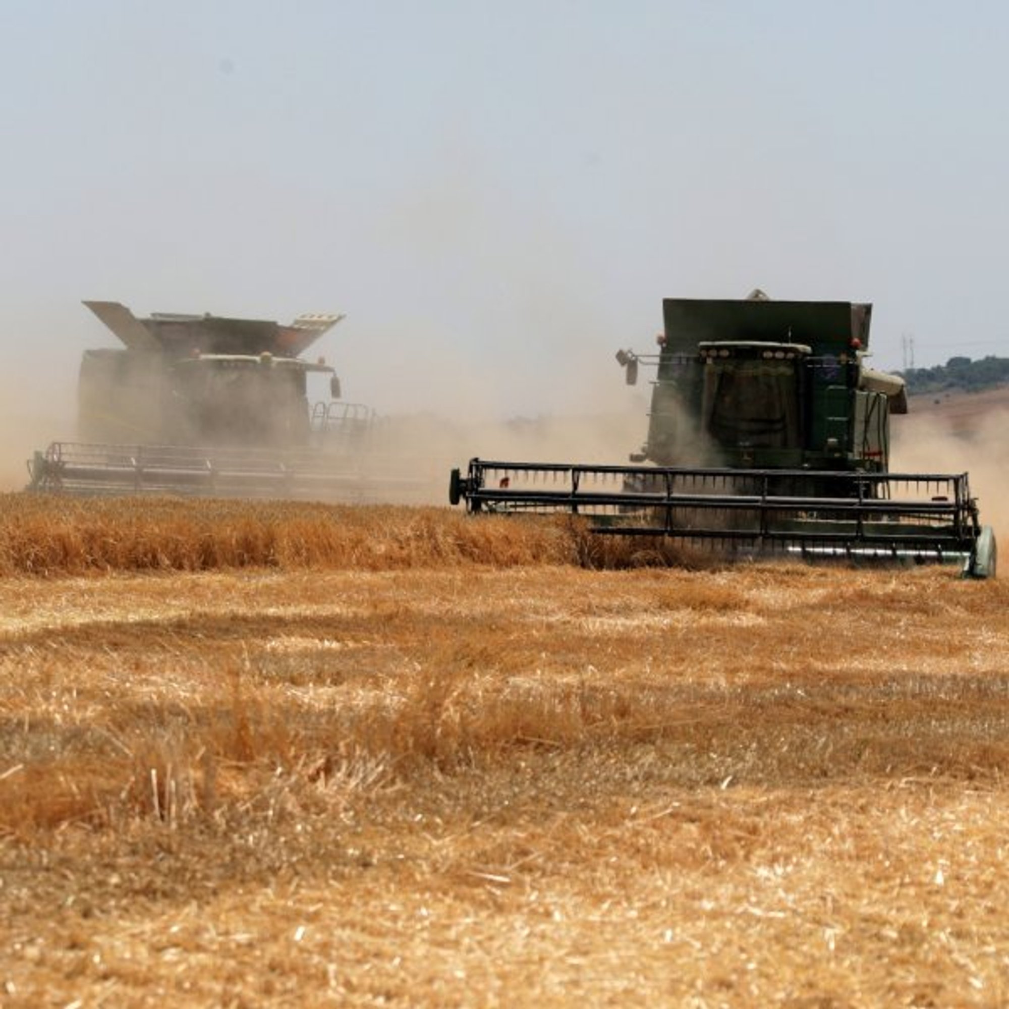 Experts warn of a bubble forming in Ukraine's agricultural land market