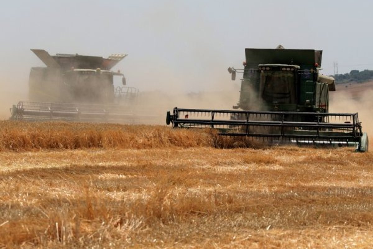 Experts Warn of Bubble in Ukrainian Land Market