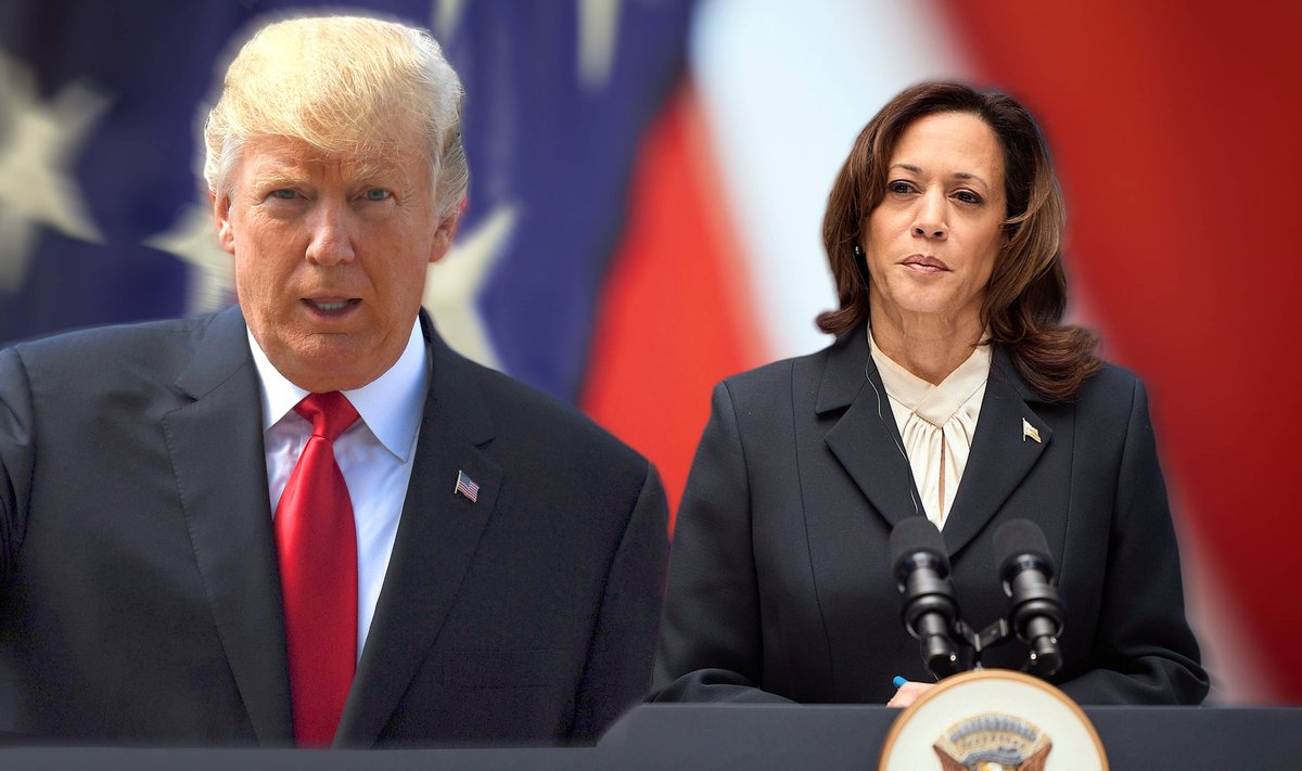 Donaldas Trumpas, Kamila Harris