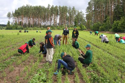 Talka Darbėnų lauko sodmenų medelyne