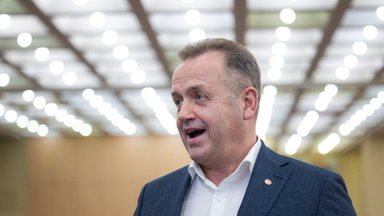 Seimas patvirtino komitetų pirmininkus: Audito komitetui vadovaus Skardžius