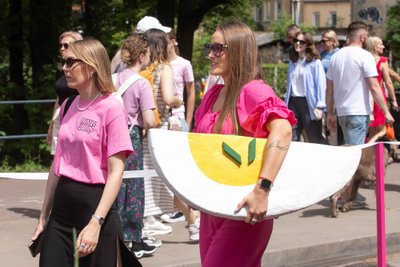 Vilniaus šaltibarščių festivalis 