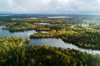 Visit Saimaa