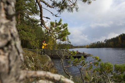 Visit Saimaa